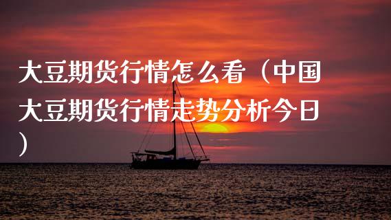 大豆期货行情怎么看（中国大豆期货行情走势分析今日）_https://www.xmqjcw.com_期货直播室_第1张
