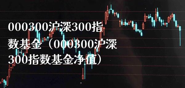 000300沪深300指数基金（000300沪深300指数基金净值）_https://www.xmqjcw.com_期货投资_第1张