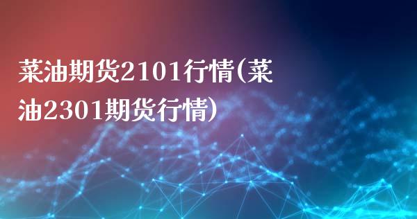 菜油期货2101行情(菜油2301期货行情)_https://www.xmqjcw.com_期货行情_第1张