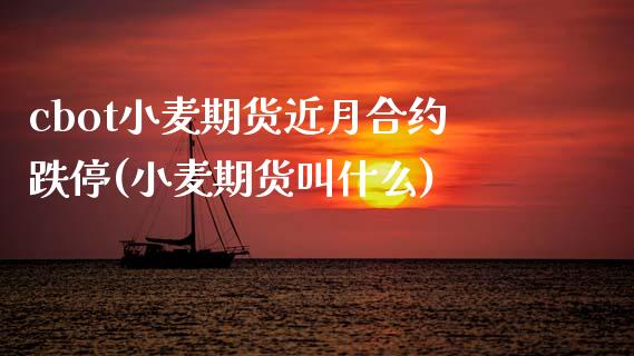 cbot小麦期货近月合约跌停(小麦期货叫什么)_https://www.xmqjcw.com_期货直播室_第1张
