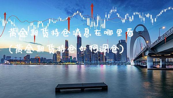 黄金期货持仓消息在哪里看(黄金期货持仓如何调仓)_https://www.xmqjcw.com_期货行情_第1张