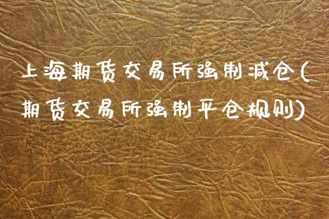 上海期货交易所强制减仓(期货交易所强制平仓规则)_https://www.xmqjcw.com_期货百科_第1张