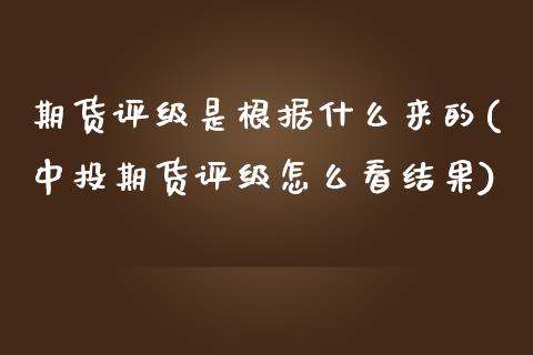 期货评级是根据什么来的(中投期货评级怎么看结果)_https://www.xmqjcw.com_期货百科_第1张