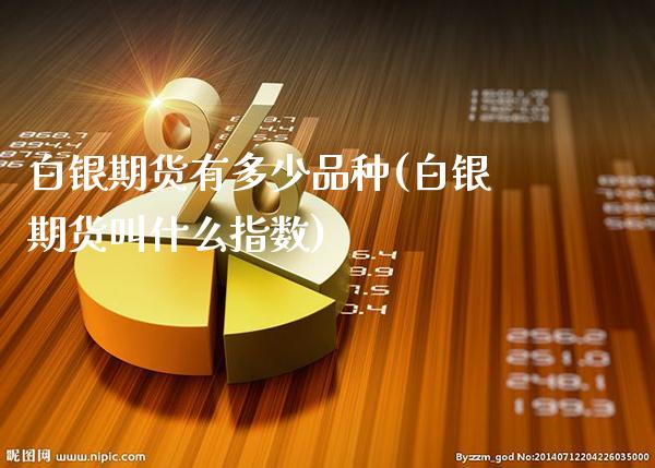 白银期货有多少品种(白银期货叫什么指数)_https://www.xmqjcw.com_期货百科_第1张