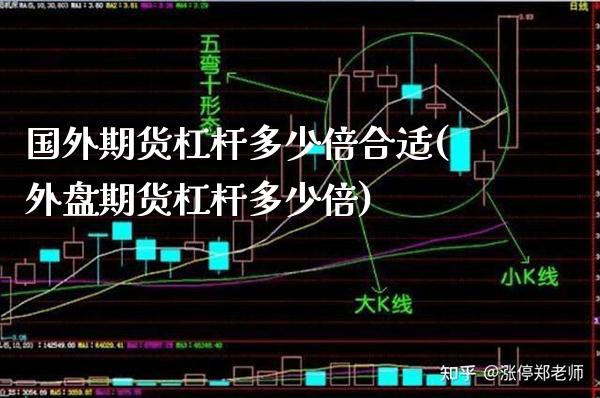 国外期货杠杆多少倍合适(外盘期货杠杆多少倍)_https://www.xmqjcw.com_期货百科_第1张