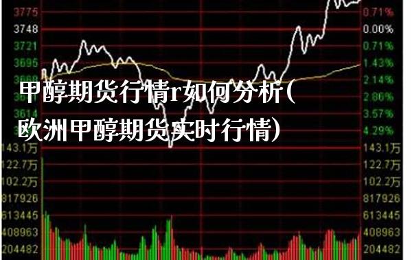 甲醇期货行情r如何分析(欧洲甲醇期货实时行情)_https://www.xmqjcw.com_期货行情_第1张