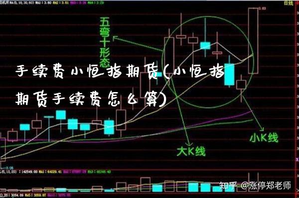 手续费小恒指期货(小恒指期货手续费怎么算)_https://www.xmqjcw.com_期货投资_第1张