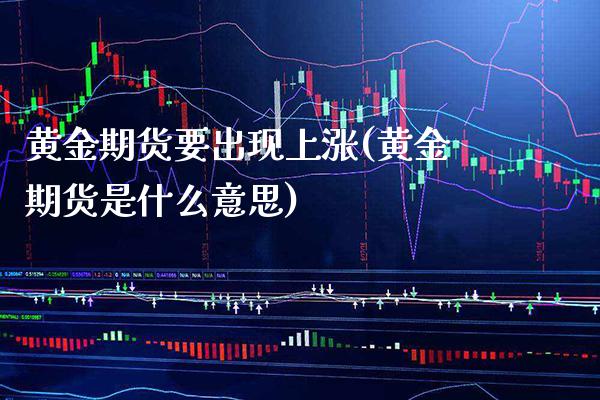 黄金期货要出现上涨(黄金期货是什么意思)_https://www.xmqjcw.com_期货百科_第1张