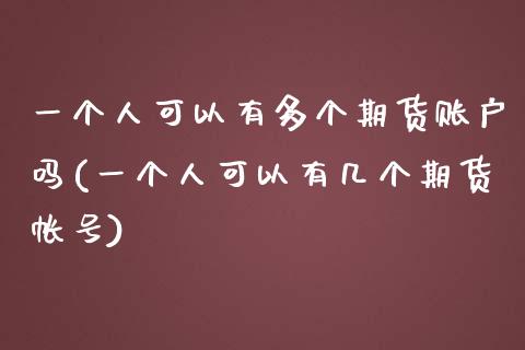 一个人可以有多个期货账户吗(一个人可以有几个期货帐号)_https://www.xmqjcw.com_期货直播室_第1张