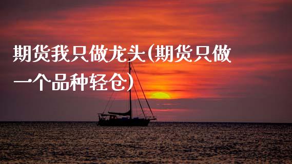 期货我只做龙头(期货只做一个品种轻仓)_https://www.xmqjcw.com_基金理财_第1张