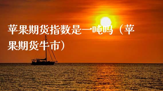 苹果期货指数是一吨吗（苹果期货牛市）_https://www.xmqjcw.com_期货行情_第1张