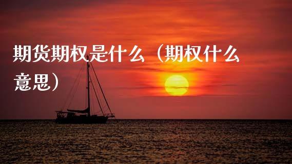 期货期权是什么（期权什么意思）_https://www.xmqjcw.com_期货投资_第1张
