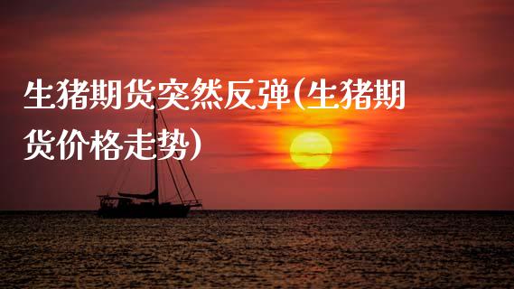 生猪期货突然反弹(生猪期货价格走势)_https://www.xmqjcw.com_股票投资_第1张