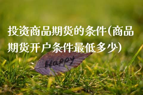 投资商品期货的条件(商品期货开户条件最低多少)_https://www.xmqjcw.com_期货开户_第1张
