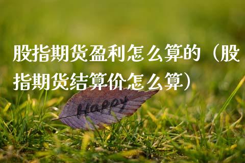 股指期货盈利怎么算的（股指期货结算价怎么算）_https://www.xmqjcw.com_期货投资_第1张
