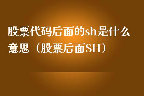 股票代码后面的sh是什么意思（股票后面SH）_https://www.xmqjcw.com_股票投资_第1张