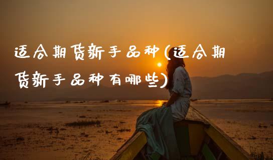 适合期货新手品种(适合期货新手品种有哪些)_https://www.xmqjcw.com_期货直播室_第1张