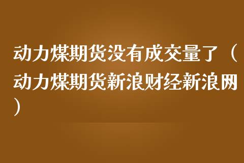 动力煤期货没有成交量了（动力煤期货新浪财经新浪网）_https://www.xmqjcw.com_期货投资_第1张