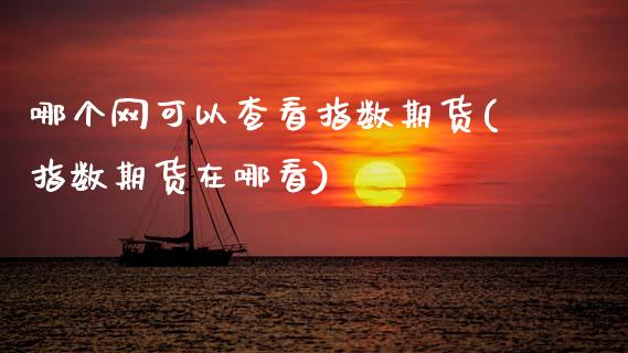 哪个网可以查看指数期货(指数期货在哪看)_https://www.xmqjcw.com_期货百科_第1张