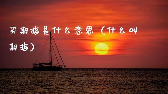 买期指是什么意思（什么叫期指）_https://www.xmqjcw.com_期货投资_第1张