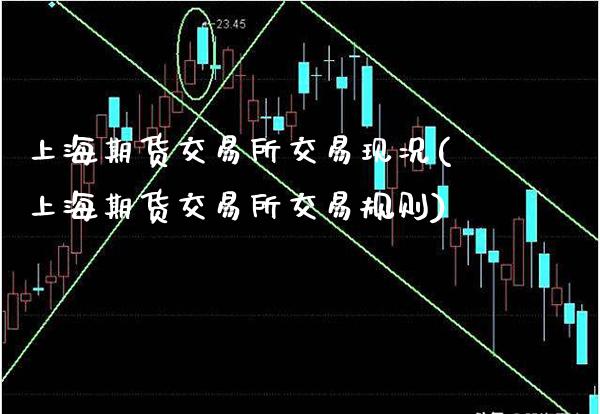 上海期货交易所交易现况(上海期货交易所交易规则)_https://www.xmqjcw.com_期货百科_第1张