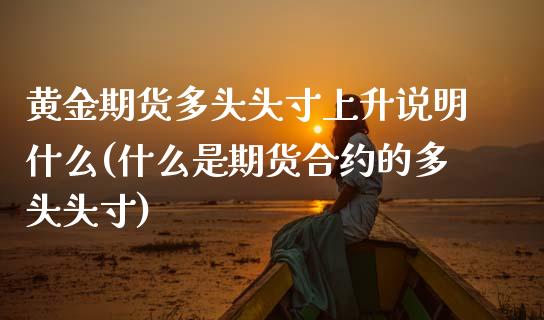 黄金期货多头头寸上升说明什么(什么是期货合约的多头头寸)_https://www.xmqjcw.com_期货投资_第1张