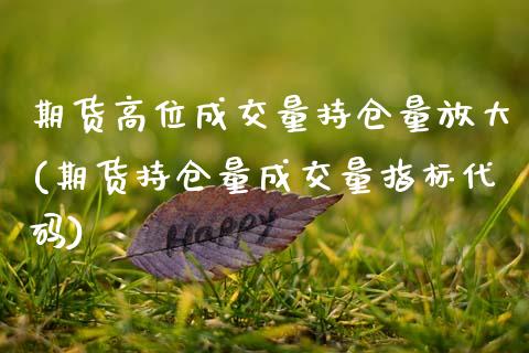 期货高位成交量持仓量放大(期货持仓量成交量指标代码)_https://www.xmqjcw.com_期货百科_第1张