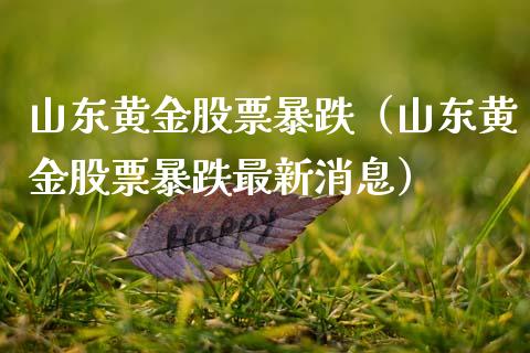 山东黄金股票暴跌（山东黄金股票暴跌最新消息）_https://www.xmqjcw.com_期货投资_第1张