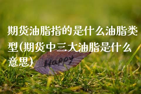 期货油脂指的是什么油脂类型(期货中三大油脂是什么意思)_https://www.xmqjcw.com_期货行情_第1张