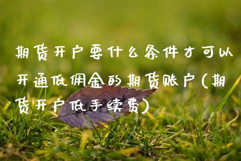 期货开户要什么条件才可以开通低佣金的期货账户(期货开户低手续费)_https://www.xmqjcw.com_期货直播室_第1张
