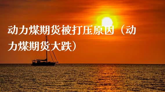 动力煤期货被原因（动力煤期货大跌）_https://www.xmqjcw.com_期货直播室_第1张