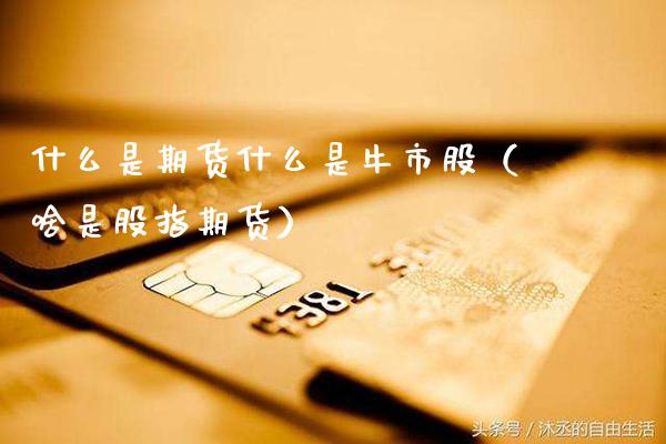 什么是期货什么是牛市股（啥是股指期货）_https://www.xmqjcw.com_期货行情_第1张