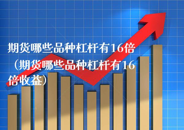 期货哪些品种杠杆有16倍（期货哪些品种杠杆有16倍收益）_https://www.xmqjcw.com_期货投资_第1张