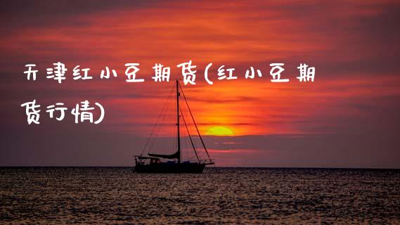 天津红小豆期货(红小豆期货行情)_https://www.xmqjcw.com_期货百科_第1张