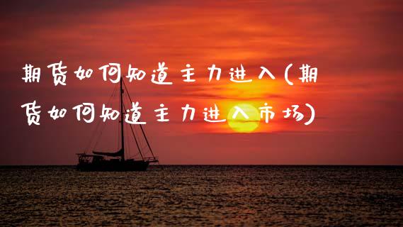 期货如何知道主力进入(期货如何知道主力进入市场)_https://www.xmqjcw.com_期货开户_第1张