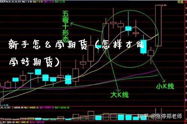 新手怎么学期货（怎样才能学好期货）_https://www.xmqjcw.com_期货投资_第1张