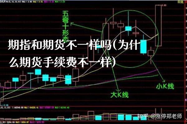 期指和期货不一样吗(为什么期货手续费不一样)_https://www.xmqjcw.com_期货百科_第1张