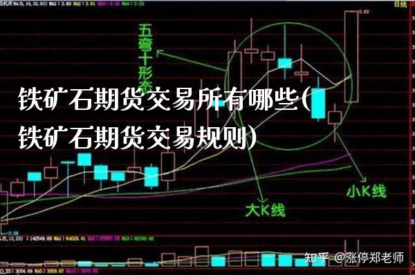 铁矿石期货交易所有哪些(铁矿石期货交易规则)_https://www.xmqjcw.com_期货百科_第1张