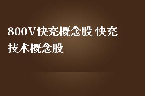 800V快充概念股 快充技术概念股_https://www.xmqjcw.com_股票投资_第1张