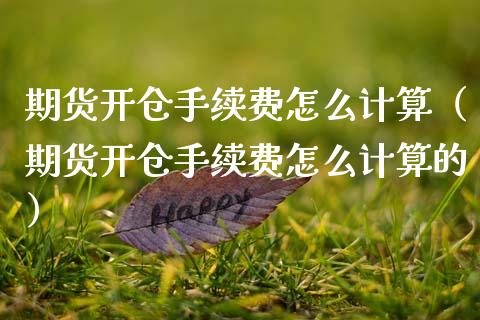 期货开仓手续费怎么计算（期货开仓手续费怎么计算的）_https://www.xmqjcw.com_期货直播室_第1张