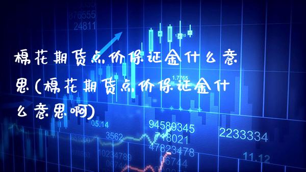棉花期货点价保证金什么意思(棉花期货点价保证金什么意思啊)_https://www.xmqjcw.com_期货投资_第1张
