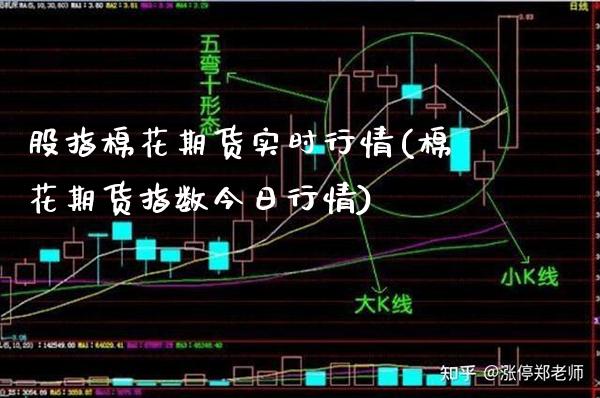 股指棉花期货实时行情(棉花期货指数今日行情)_https://www.xmqjcw.com_期货百科_第1张
