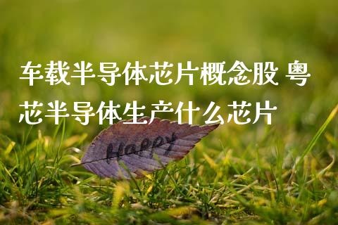 车载半导体芯片概念股 粤芯半导体生产什么芯片_https://www.xmqjcw.com_股票投资_第1张