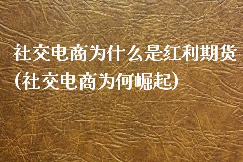 社交电商为什么是红利期货(社交电商为何崛起)_https://www.xmqjcw.com_期货投资_第1张