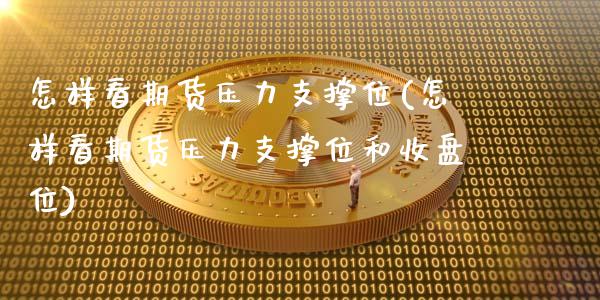 怎样看期货压力支撑位(怎样看期货压力支撑位和收盘位)_https://www.xmqjcw.com_期货百科_第1张