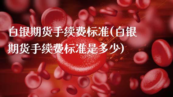 白银期货手续费标准(白银期货手续费标准是多少)_https://www.xmqjcw.com_期货投资_第1张