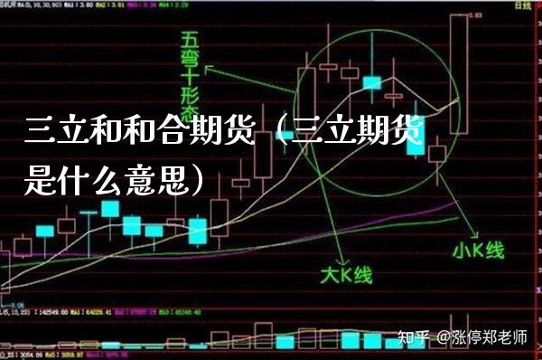 三立和和合期货（三立期货是什么意思）_https://www.xmqjcw.com_期货行情_第1张