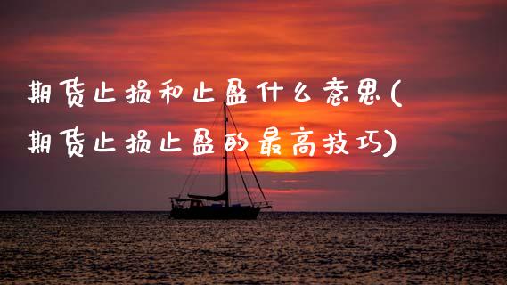 期货止损和止盈什么意思(期货止损止盈的最高技巧)_https://www.xmqjcw.com_期货百科_第1张