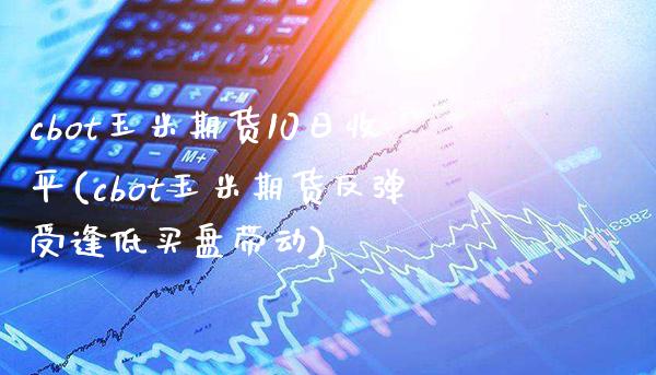 cbot玉米期货10日收平(cbot玉米期货反弹受逢低买盘带动)_https://www.xmqjcw.com_基金理财_第1张