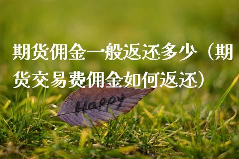 期货佣金一般返还多少（期货交易费佣金如何返还）_https://www.xmqjcw.com_期货投资_第1张